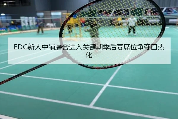 EDG新人中辅磨合进入关键期季后赛席位争夺白热化