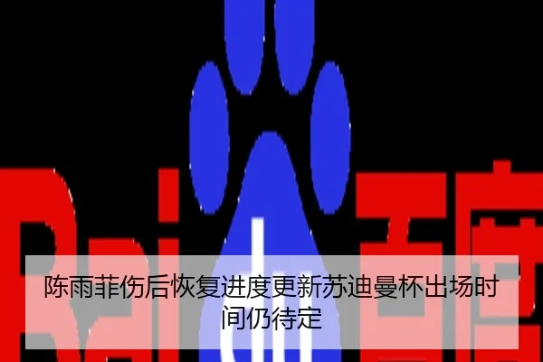 陈雨菲伤后恢复进度更新苏迪曼杯出场时间仍待定
