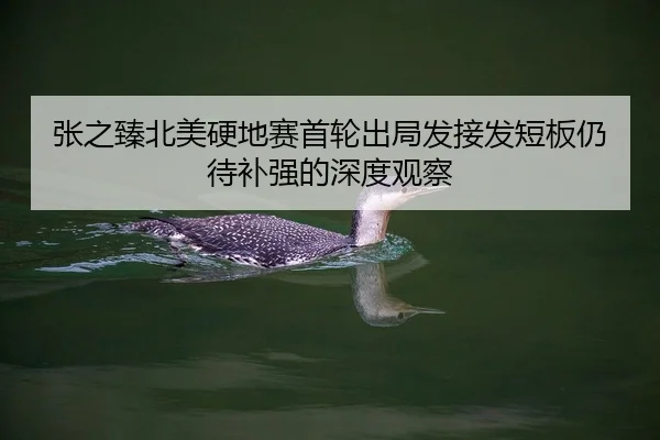 张之臻北美硬地赛首轮出局发接发短板仍待补强的深度观察